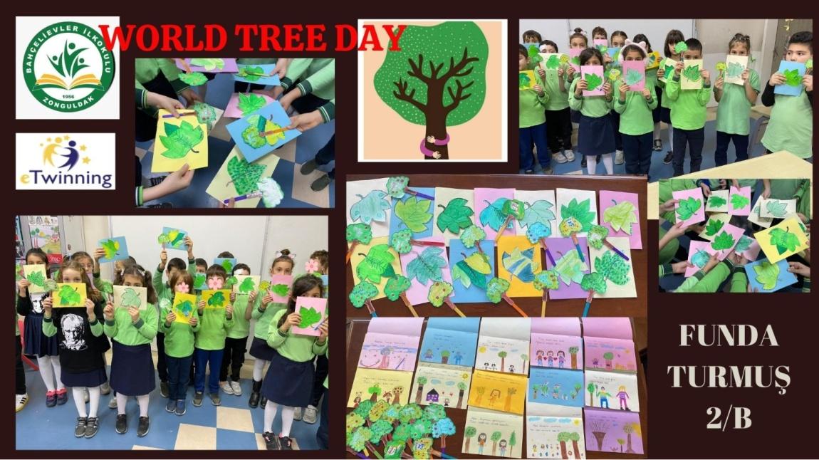 World Tree Day Projesi